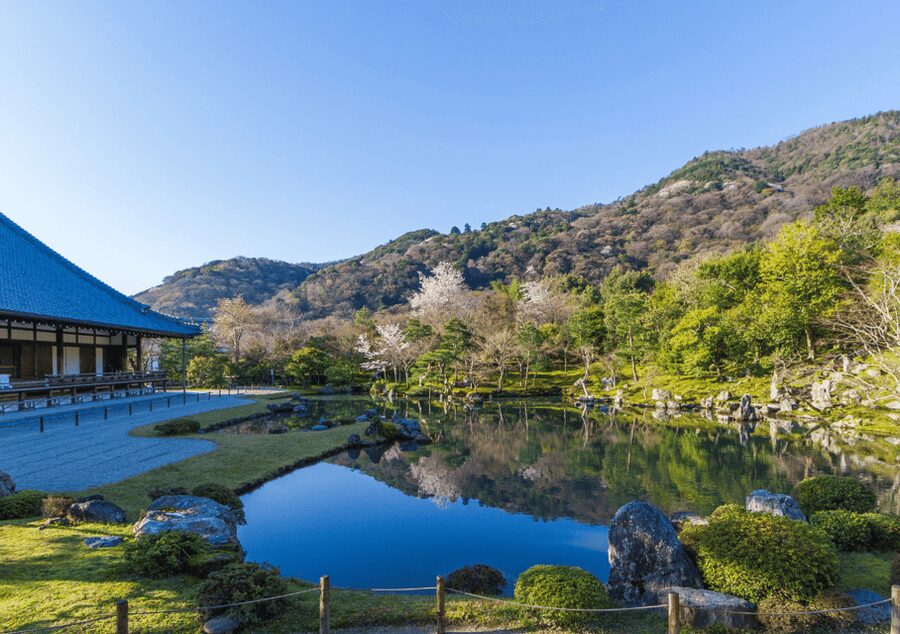 Private Tour to Monkey Park and Arashiyama Highlights - Togetsukyo Bridge and the Oi River: a scenic breather
