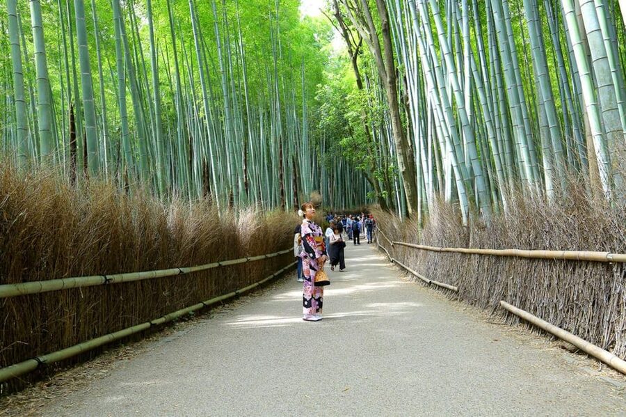 Private Tour to Monkey Park and Arashiyama Highlights - The Oi River boat trip: how to end Arashiyama on a slower note