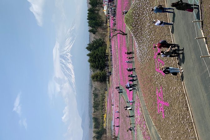 Private Tour to Mt. Fuji and Hakone (Fully Licenced Operator) - Oshino Hakkai: small ponds, big Fuji reflections