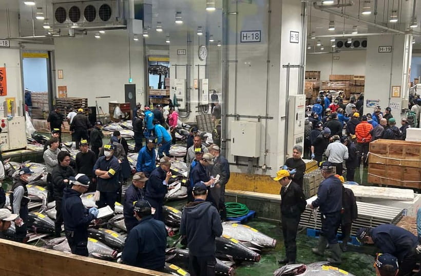 Private Toyosu & Tsukiji Market Adventure with Tuna Auction - Toyosu Market walk: utensil lanes, auction context, and smart breakfast timing