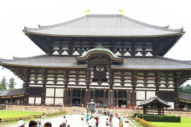 Relax in Nara: Deer Park, Todai-ji Temple and Merchants' Town - Harushika Brewery: Choose Sake Tasting or a Traditional Sweet
