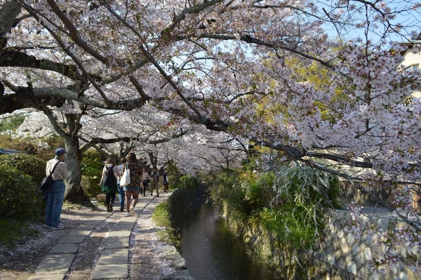 Sacred Pathways: Discover the Philosopher's Path of Kyoto - The Value Math: Is $64 Worth It?