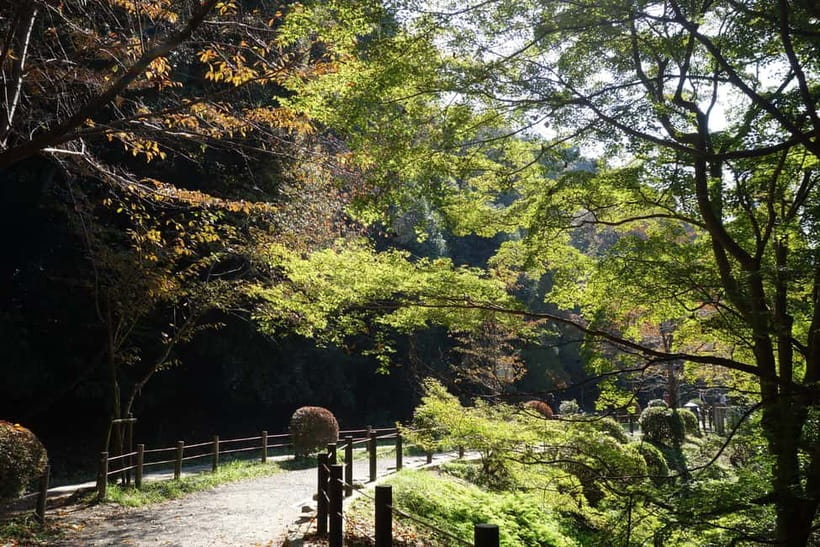 Sacred Pathways: Discover the Philosopher's Path of Kyoto - Practical Tips So You Enjoy It From Minute One