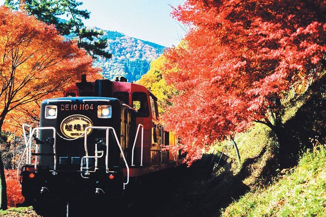 Sagano Romantic Train & Arashiyama, Kiyomizudera, Fushimi Inari Taisha Day Tour - Fushimi Inari Taisha: how to enjoy the torii gate walk in 1 hour 20 minutes