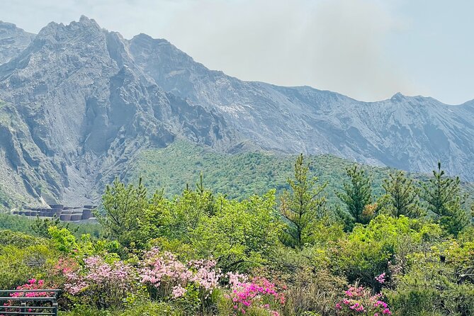 Sakurajima Century Lava Climb Journey with E-bike - From ferry to volcano island: why this tour works in 3 hours