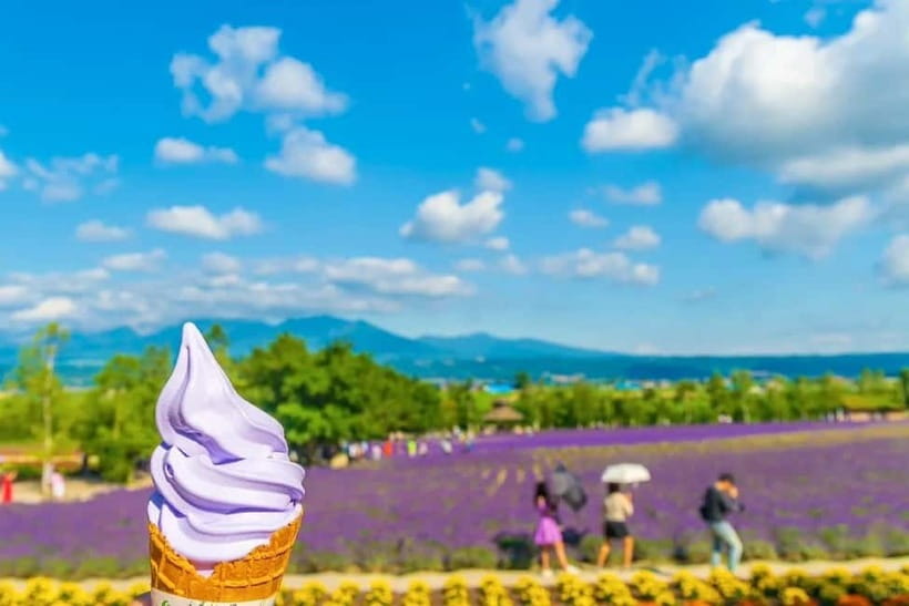 Sapporo: Furano Flower Sea & Biei Blue Pond Tour w/ Pickup - Transportation Comfort, Road Bumps, and Restroom Breaks