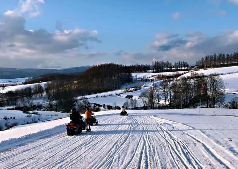 Sapporo: Furano Lavender & Biei Blue Pond Tour with Lunch - Price and value: $94 per person, with the right inclusions
