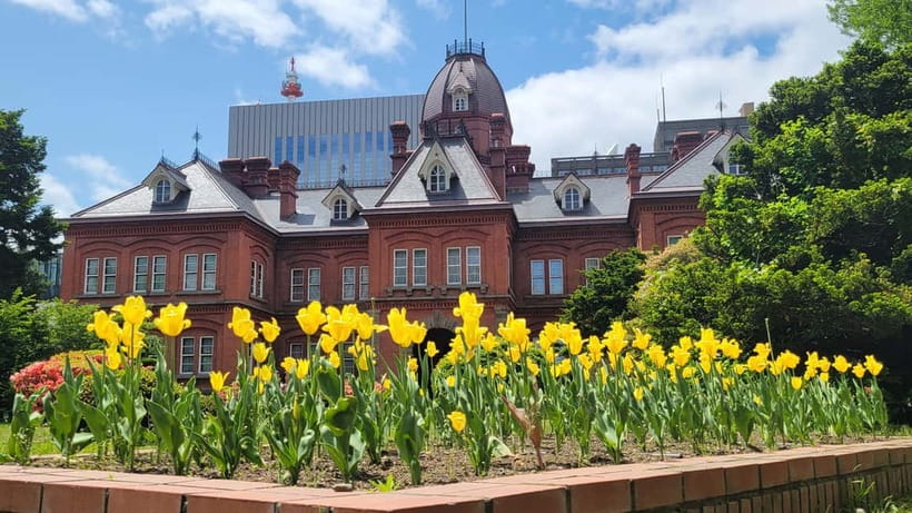 Sapporo Highlights: Golden Route Morning Guided Walking Tour - Price and value: why $36 can feel like more than 2 hours