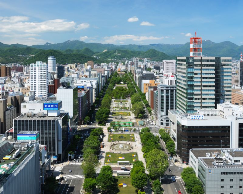 Sapporo TV Tower Admission Ticket - What You’ll Actually See: Sapporo City Views and Odori Park Flowers
