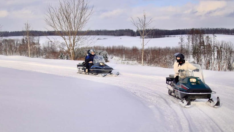 Sapporo Winter : Asahiyama Zoo (Penguin Fun & Snowmobile) - Guide quality can make or break a cold day