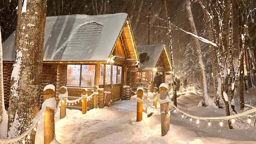 Sapporo Winter : Asahiyama Zoo (Penguin Fun & Snowmobile) - Price and value: what you’re really paying for