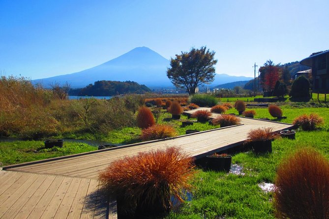 Scenic Spots of Mt Fuji and Lake Kawaguchi 1 Day Bus Tour - The Human Factor: Guides, Commentary, and Group Flow