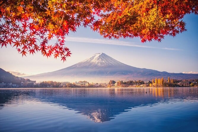 Scenic Spots of Mt Fuji and Lake Kawaguchi 1 Day Bus Tour - Lake Kawaguchi Craft Park: Lunch Choices and a Real Lakeside Pause