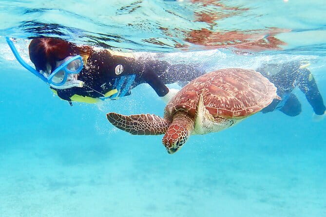 Scuba diving in Yakushima! (Guided Fun Diving for Licensed Guests) - Underwater Time Options: Two Sessions Included, Third Session If Conditions Say Yes