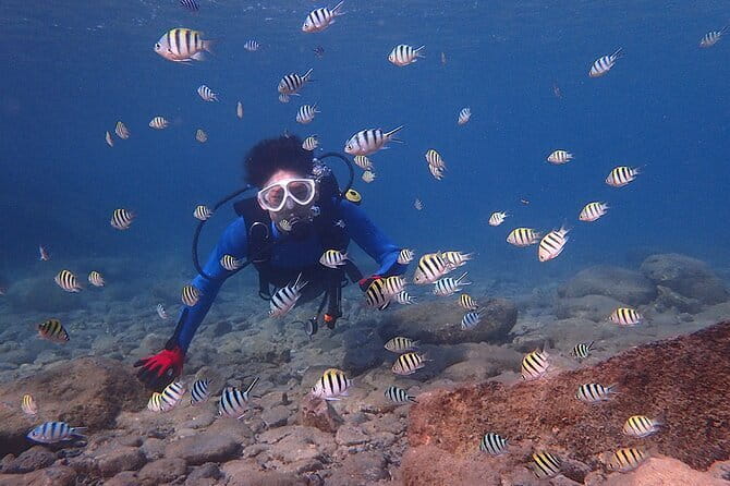 Scuba diving in Yakushima! (Guided Fun Diving for Licensed Guests) - Getting Instruction and Staying Comfortable (Even With Limited English)