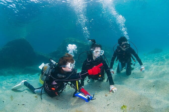 Scuba diving in Yakushima! (Guided Fun Diving for Licensed Guests) - After the Water: Shower, Changing, and Logbook Notes