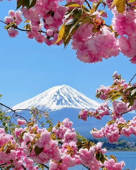 [Seasonal Limited] Mt. Fuji 5th Station &Hot Spring Day Tour - Konohananoyu onsen: Fuji views plus real rules