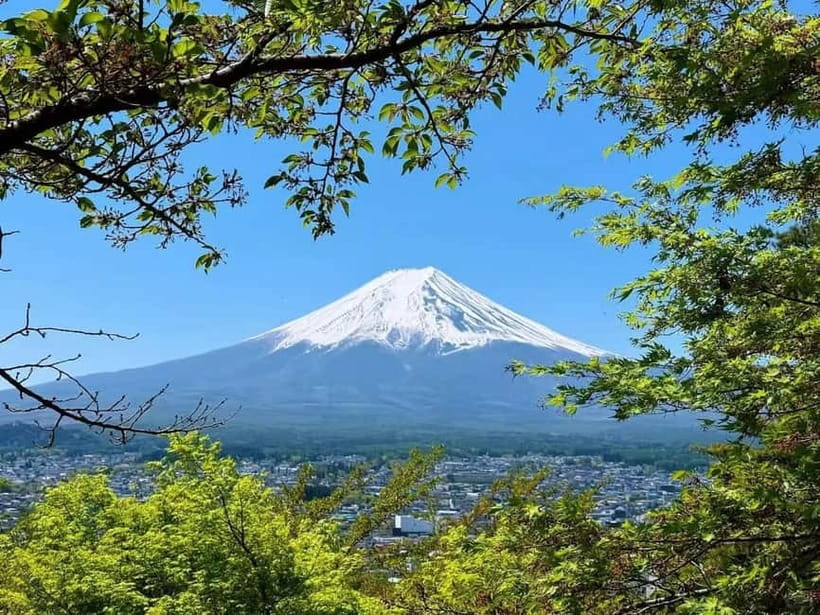 [Seasonal Limited] Mt. Fuji 5th Station &Hot Spring Day Tour - Price and value: what $50 buys, and what it does not