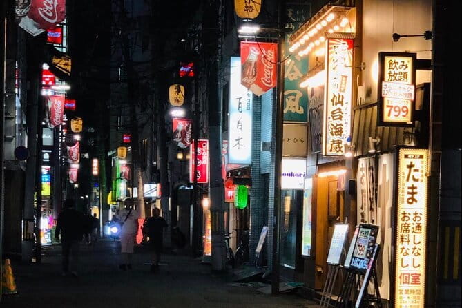 Sendai Private Izakaya and Bar Tour - Ali and the choose-your-own-night approach