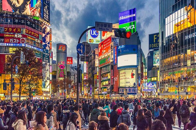 Shibuya All You Can Eat Best Food Tour The Original One in Tokyo - Who this Shibuya food tour is perfect for