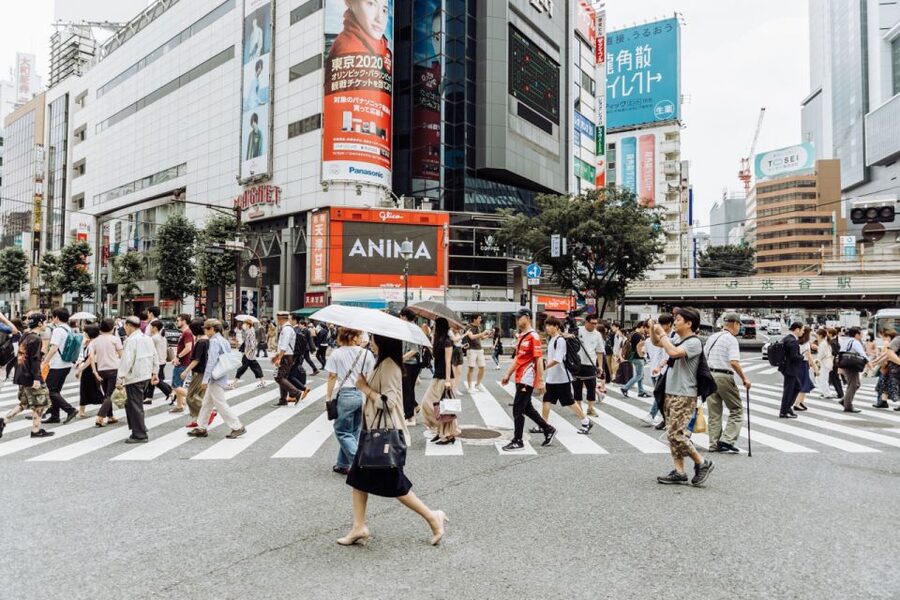 Shibuya & Harajuku: Hidden Gems & Highlights Private Tour - Rooftop views and tucked-away cafés