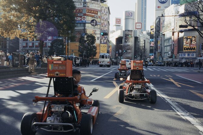 Shibuya Official Street Go-Kart in Shibuya Annex - Who should book this street go-kart tour in Shibuya Annex?