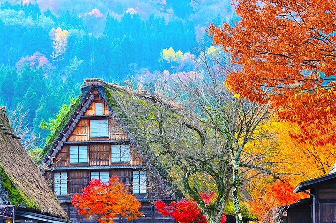 Shirakawa-go and Hida-Takayama Private Day Trip from Nagoya - Key highlights you should care about