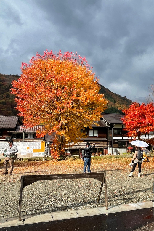 Shirakawa-go UNESCO Half-Day Tour from Takayama - Group size and pace: who this half-day tour suits best