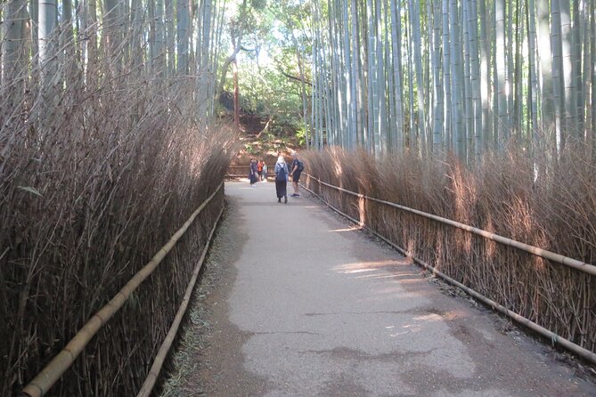 Shore excursion: Full Day Private Kyoto Tour From Osaka/Kobe Port - Fushimi Inari Shrine: torii gates and smart pacing