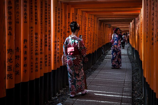 Shore excursion: Full Day Private Kyoto Tour From Osaka/Kobe Port - The guide and driver advantage: what actually makes it feel private