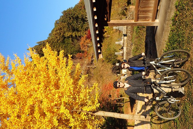 Short Morning Cycling Tour in Hida - Price and value: what you really get for $161.18