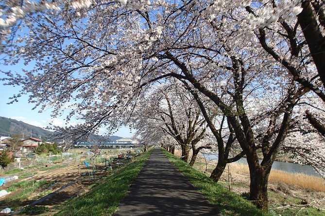 Short Morning Cycling Tour in Hida - Language and guide style: why it feels personal