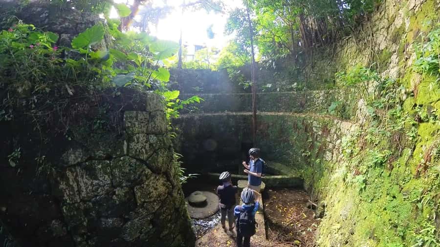 Shuri+Naha: Cycling Tour Explore Water Heritage with E-Bike - A second spring where waterfowl gather in stillness