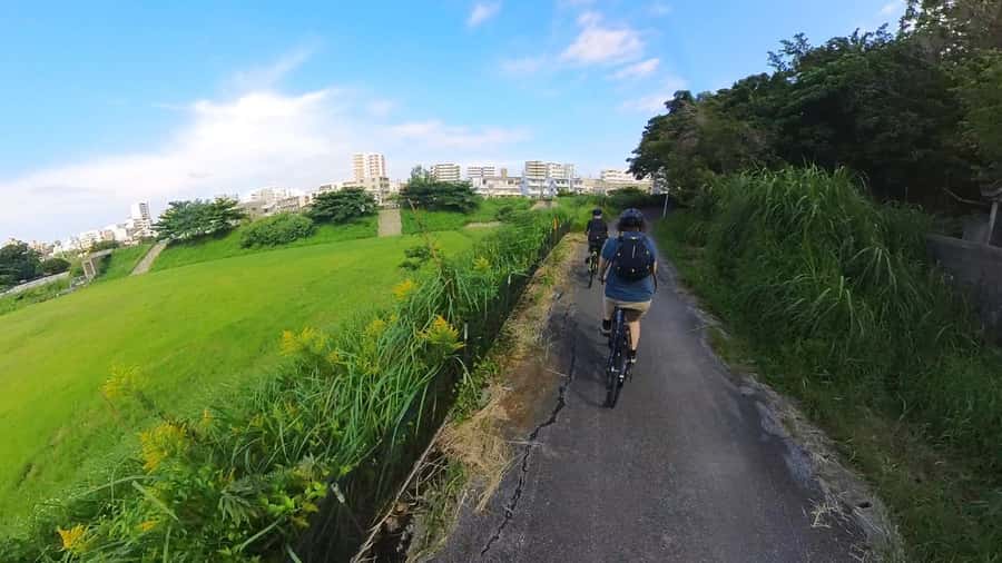 Shuri+Naha: Cycling Tour Explore Water Heritage with E-Bike - Ryukyu sweets and the royal-court recipe tradition