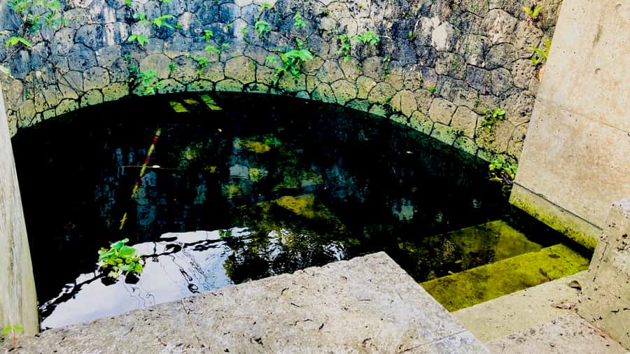 Shuri+Naha: Cycling Tour Explore Water Heritage with E-Bike - Who this tour suits best (and who should skip)