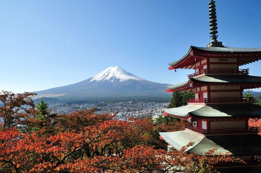 Sightseeing Day Trip to Mount Fuji and Hakone Green Number - Why this Mount Fuji and Hakone day trip works