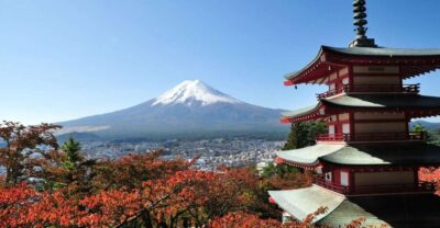 Sightseeing Day Trip to Mount Fuji and Hakone Green Number