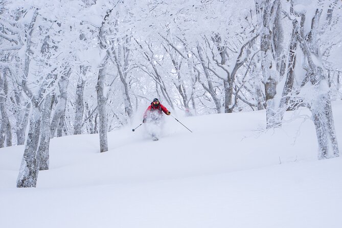 Ski or Snowboard Lesson in Shiga Kogen (4Hours) - Your Coach Menu: Race, Carving, Freestyle, Slackcountry, Moguls