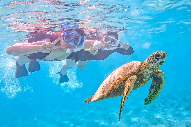 Snorkeling Activity in Okinawa Miyako Japan - Key highlights worth your time