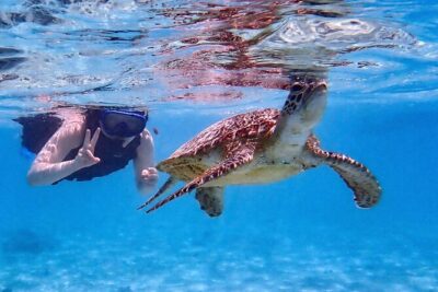 Snorkeling Activity in Okinawa Miyako Japan