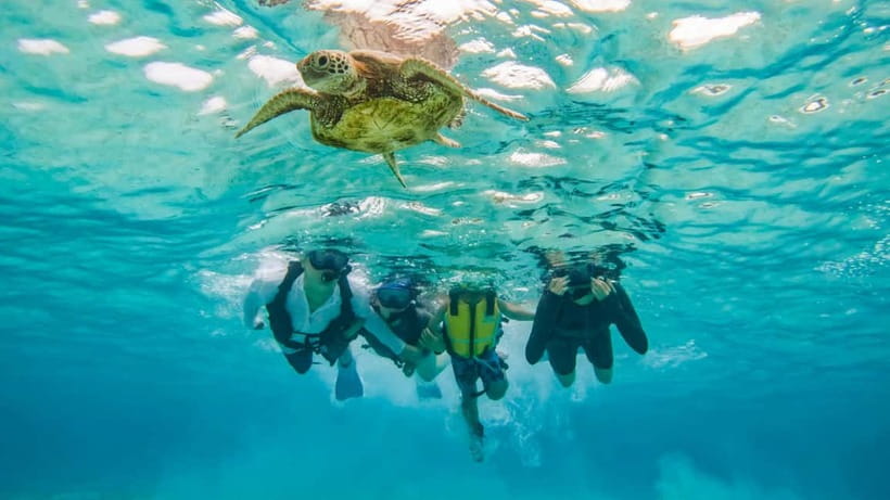 Snorkeling Activity in Okinawa Miyako Japan - Gear, wetsuits, and what to bring yourself