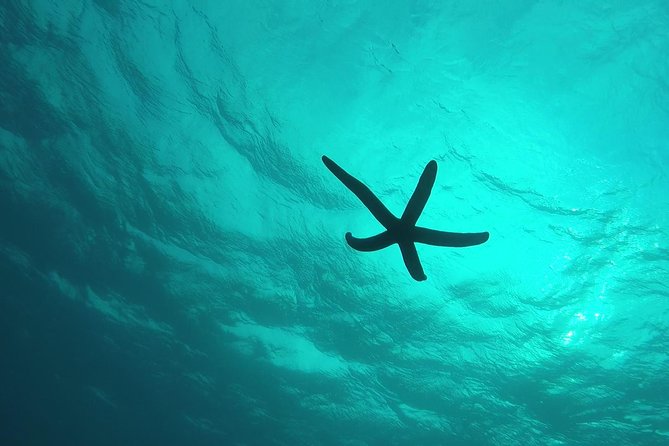 Snorkeling in the Blue Cave area【Okinawa Prefecture: Free feeding & photo images!English and Chinese speaking guide available! - Gear, Comfort, And The On-Site 300 Yen Fee