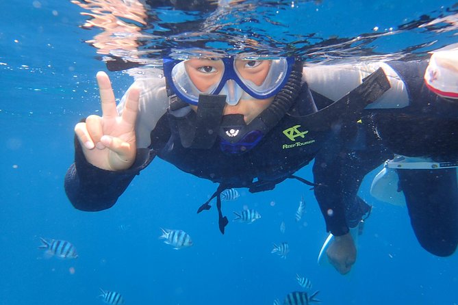 Snorkeling in the Blue Cave area【Okinawa Prefecture: Free feeding & photo images!English and Chinese speaking guide available! - Who This Tour Fits Best, And Who Might Want Another Plan