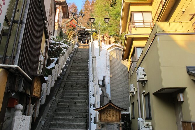 Snow Monkey & Shibu Onsen Afternoon Tour (Depart: Iiyama & Nozwa) - Price and logistics: what $78.60 really buys you