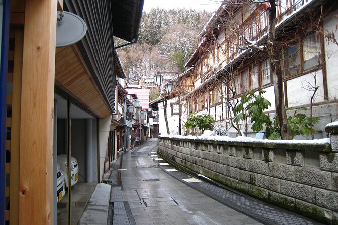 Snow Monkey & Shibu Onsen Afternoon Tour (Depart: Iiyama & Nozwa) - The walking you cannot ignore: snowy paths and onsen-town strolling