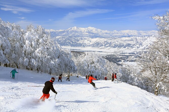 Snow Monkey, Zenko Ji Temple, Sake in Nagano Tour - Monzen Terrace Enya: A Real Midday Reset With Sake