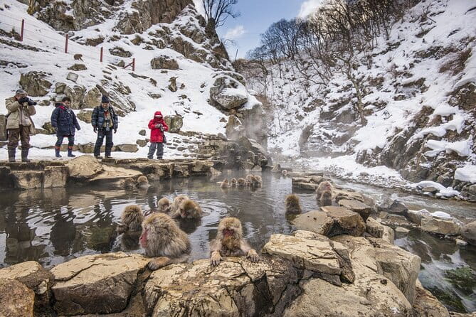 Snow Monkeys, Hokusai & Sake: A Perfect Day in Nagano - Masuichi Ichimura Sake Brewery Tasting: Two Samples, Real Taste