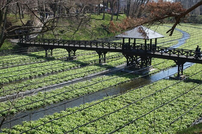 Snow Monkeys, Hokusai & Sake: A Perfect Day in Nagano - Price and What You’re Really Getting for Around $162.91