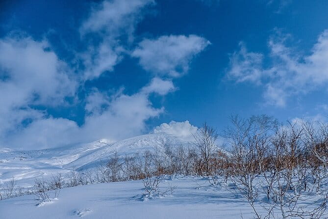 Snowshoe Adventures and Onsen Bliss Winter Escape in Furano - How the 2-hour rhythm fits your day