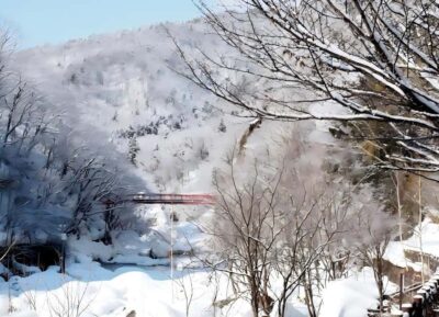 Sopporo: Hokkaido Shrine and Atama Daibutsu Full-Day Tour